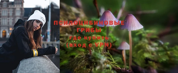 спиды Абдулино
