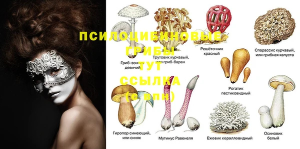 дурь Абинск