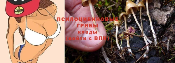 спиды Абдулино