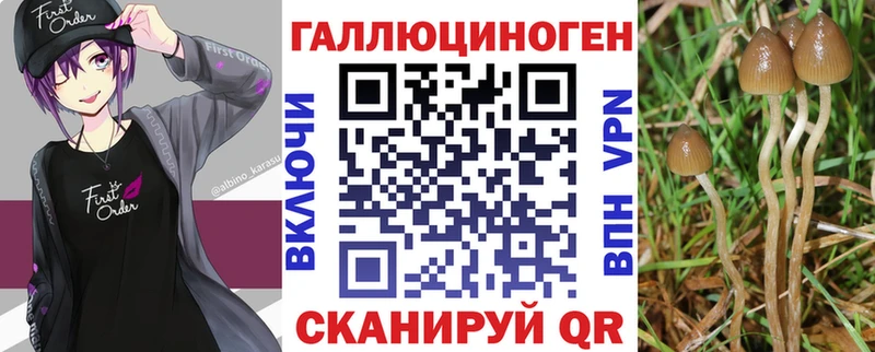 мориарти формула Краснозаводск Псилоцибиновые грибы Cubensis